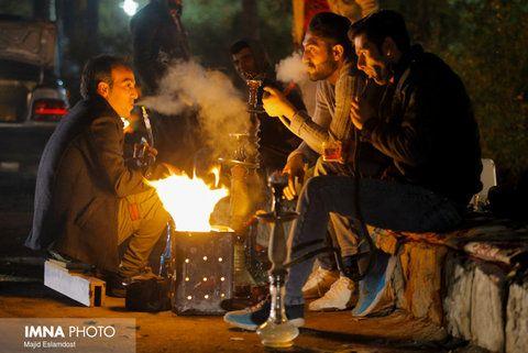 سه ماه تا یک سال زندانی؛ جریمه روشن کردن آتش در فضاهای سبز