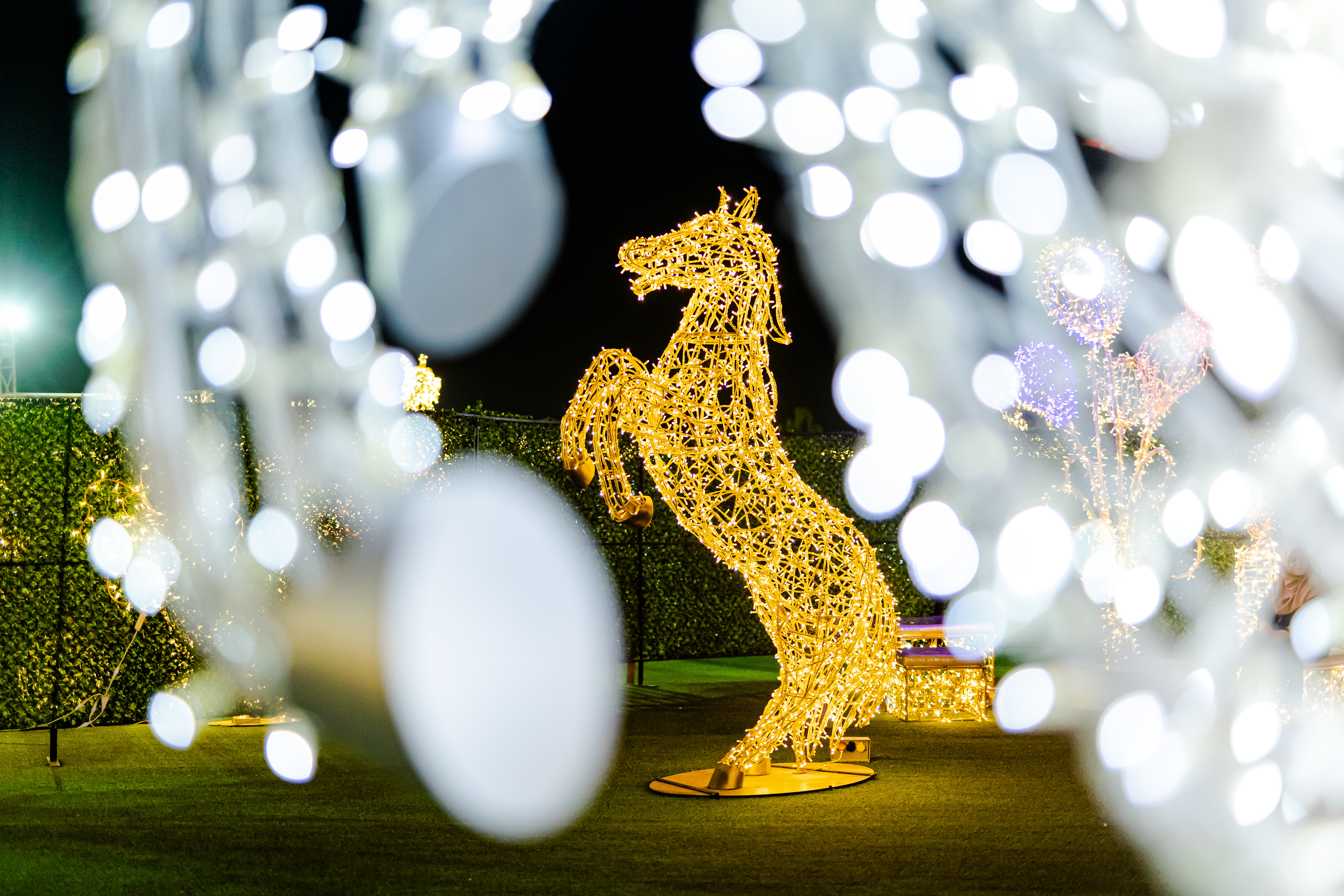 کوه نور صفه