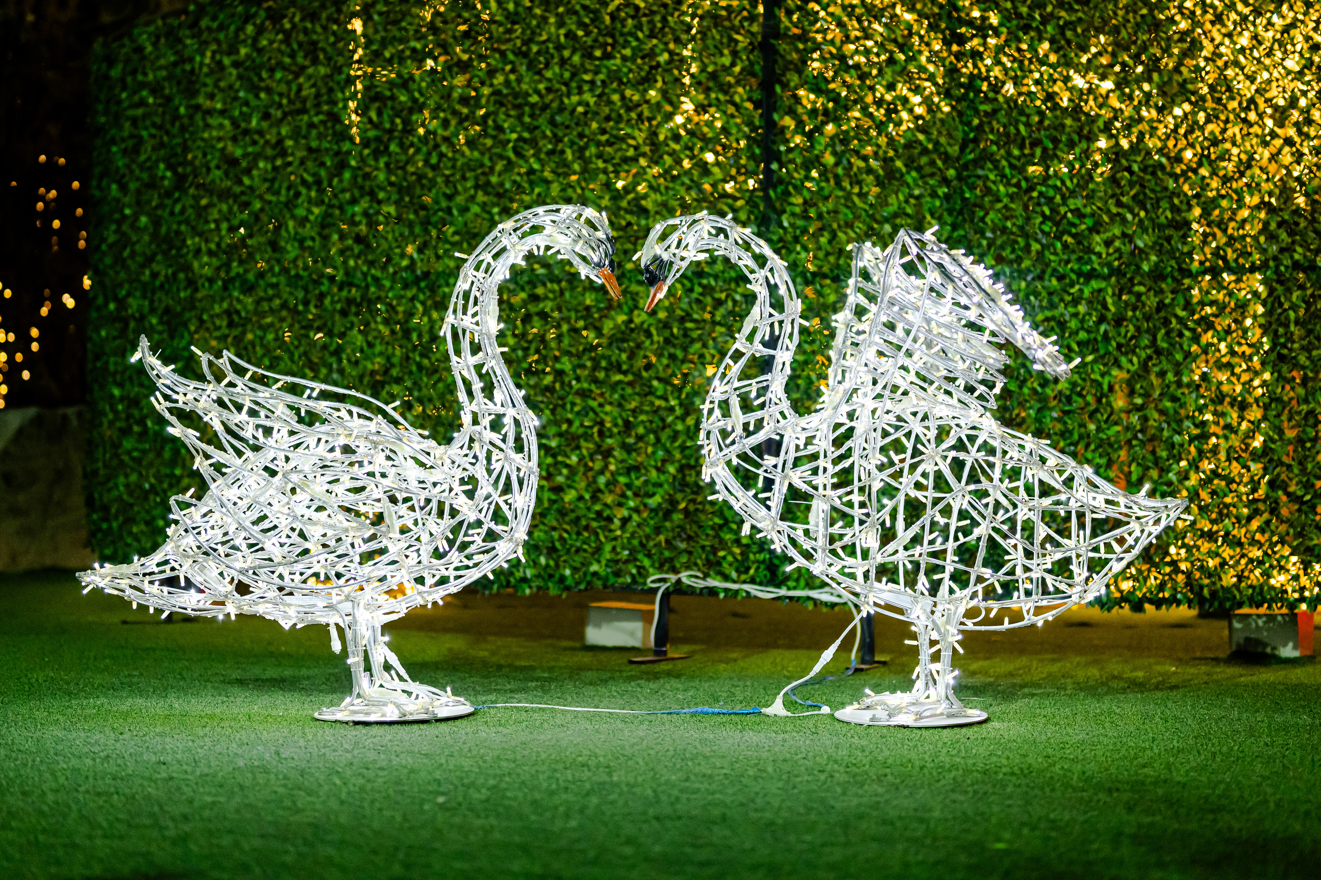 کوه نور صفه